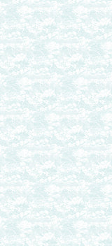 Papier peint panoramique Gravure Ciel et Nuages