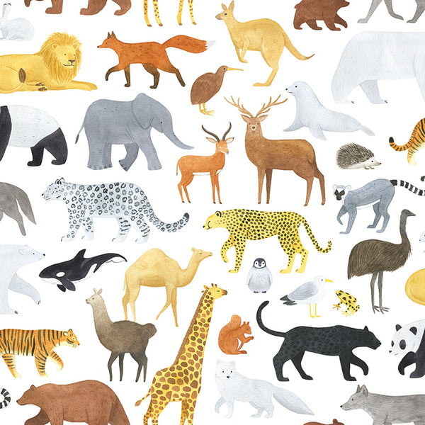 Papier peint animaux - Animalia