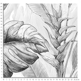 Papier peint graphique – Jungle Tropicale Monochrome noir