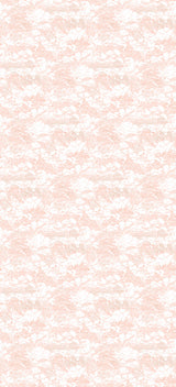 Papier peint panoramique Gravure Ciel et Nuages