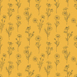 Papier Peint Fleurs de Camomille