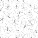 Papier peint animaux - Butterflies