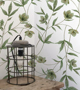 Papier peint fleurs - Hellebores