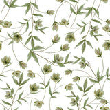 Papier peint fleurs - Hellebores