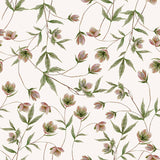 Papier peint fleurs - Hellebores