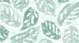 Papier peint végétal Monstera Adansonii Vert Céladon