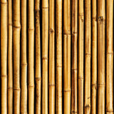 Papier peint Bambou Deboo