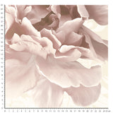 Papier peint fleur Sweetness