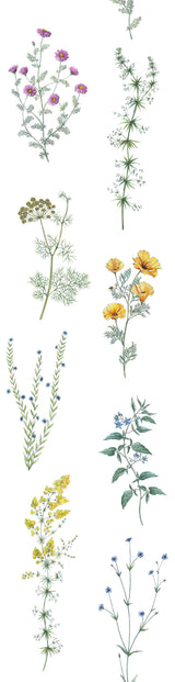 Papier peint fleurs "L'herbier"