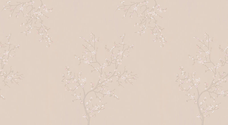 Papier peint fleur de cerisier Hanami Rose Poudré