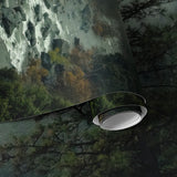 Papier peint panoramique Forêt Brumeuse