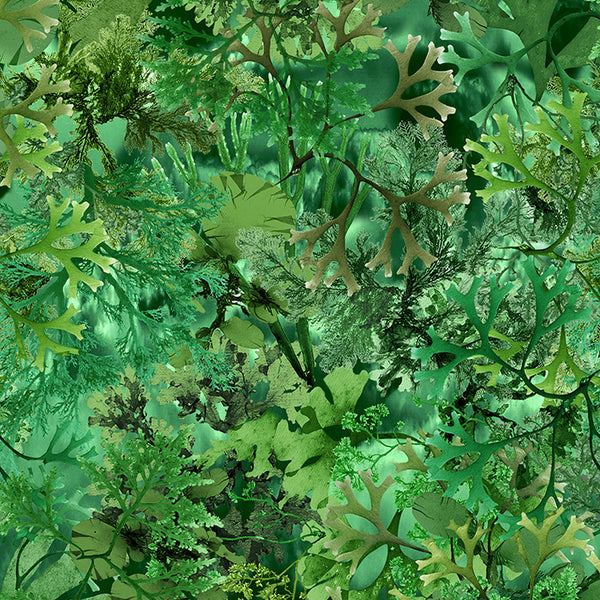 Papier peint Jungle D'algues