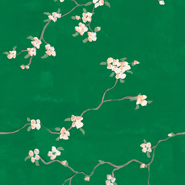 Papier peint Cherry Blossoms