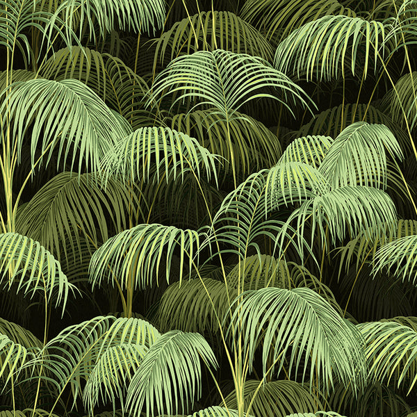 Papier peint Palms Valley