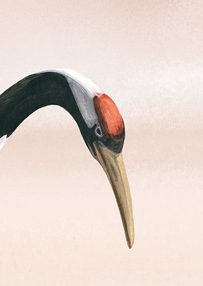 Echantillon papier peint Japon Grues Japonaises Terracotta