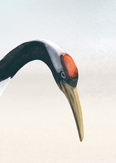 Echantillon papier peint Japon Grues Japonaises Céladon