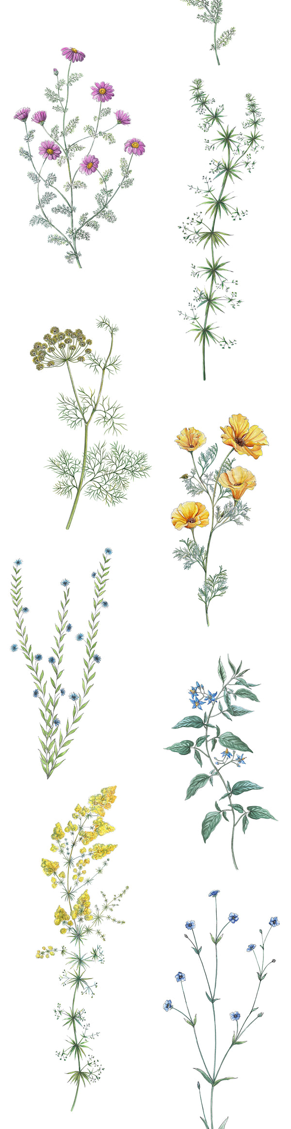 Papier peint fleurs "L'herbier"