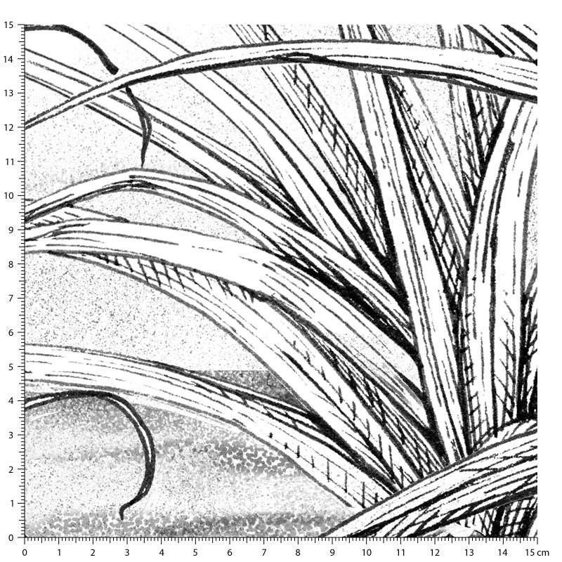 Papier peint palmier - PALMERAIS