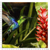 Papier peint Jungle Nakita sur mesure