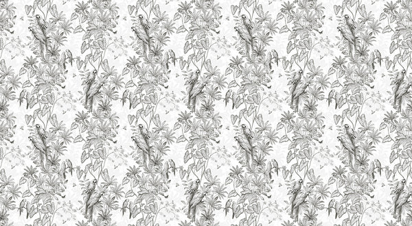 Papier peint perroquet - Jungle Parrots Grisaille