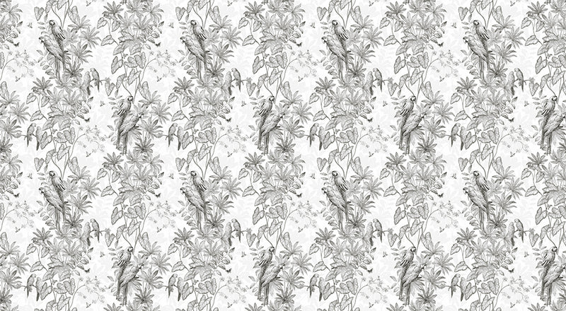 Papier peint perroquet - Jungle Parrots Grisaille