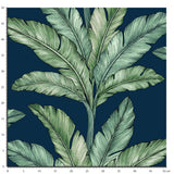 Papier peint feuillage – Feuille de bananier