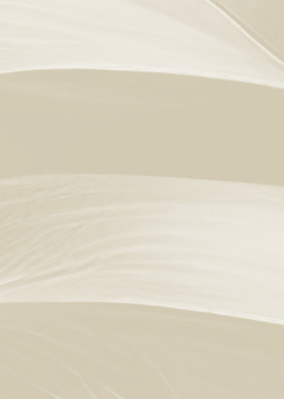 Echantillon papier peint végétal Monstera Deliciosa Beige