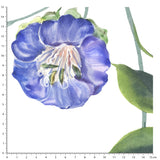 Papier peint fleurs "Les ipomées"