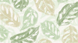 Papier peint végétal Monstera Adansonii Vert Pomme