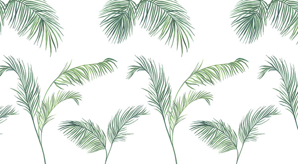 Papier peint feuille de palmier - Palm spring