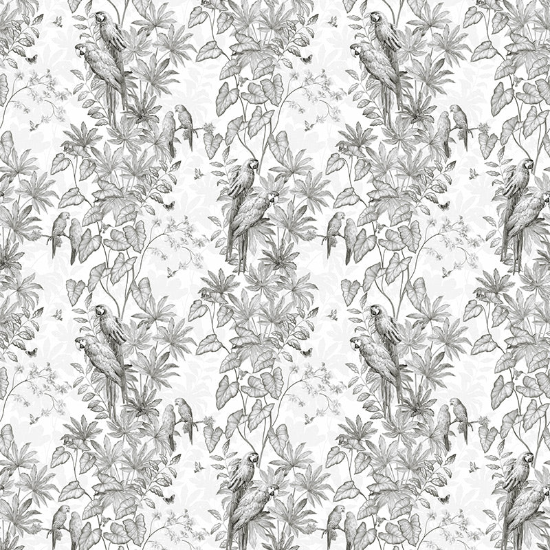 Papier peint perroquet - Jungle Parrots