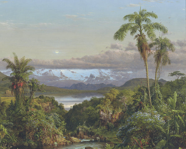 Papier peint L'île mystérieuse