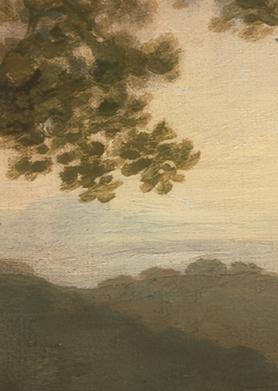 Echantillon papier peint panoramique Forêt Anglaise