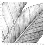 Papier peint Jungle - Panoramique en rouleau JUNGALA