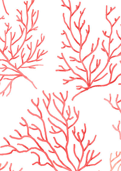 Echantillon papier peint panoramique coraux Corallo
