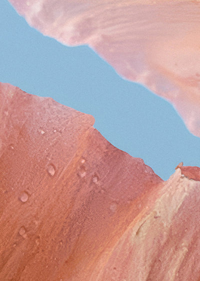 Echantillon papier peint panoramique Fleur Pêche