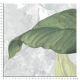 Papier peint panoramique jungle – Forêt Tropicale Bornéo