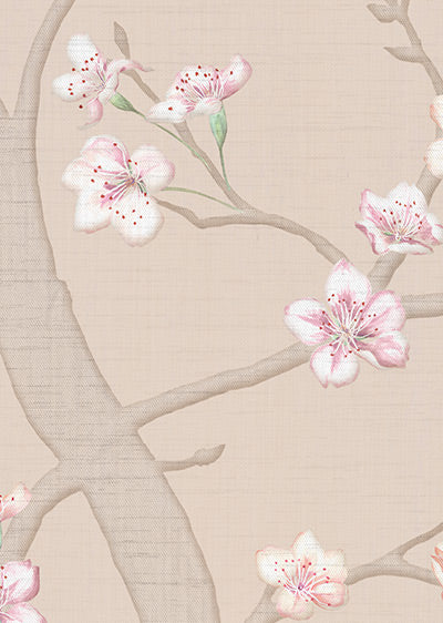 Echantillon papier peint fleur de cerisier Hanami Rose Poudré