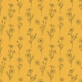 Papier Peint Fleurs de Camomille
