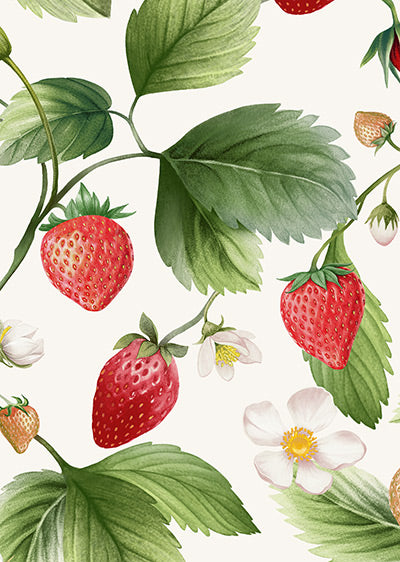 Echantillon papier peint panoramique motif fraises Fragola