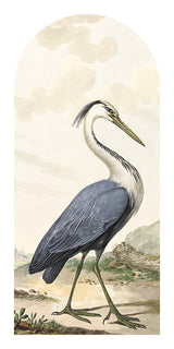 Papier Peint Adhésif Arche - Héron Cendré