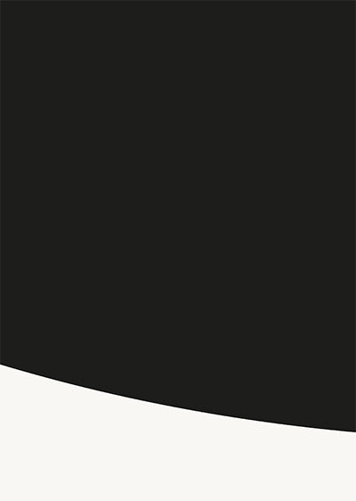 Echantillon papier peint panoramique géométrique abstrait Zebra