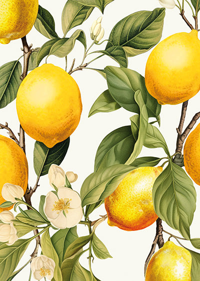 Echantillon papier peint panoramique motif citrons Limone