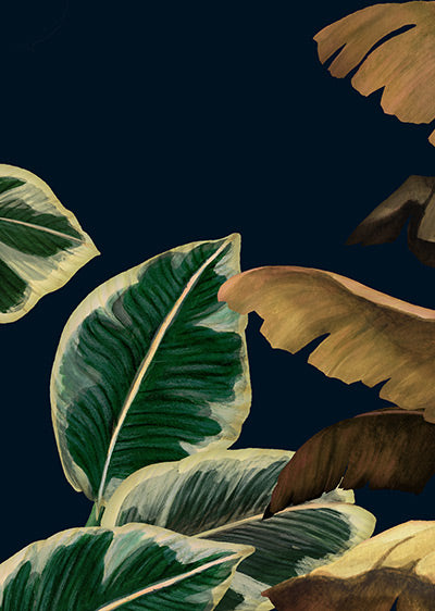 Echantillon Papier peint panoramique Amazonia Bleu Nuit