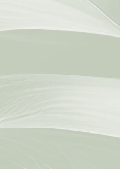 Echantillon papier peint végétal Monstera Deliciosa Vert