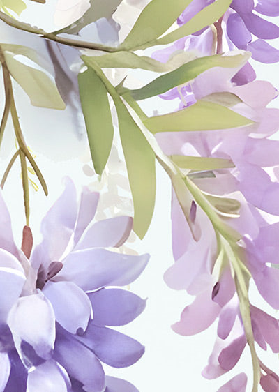 Echantillon papier peint panoramique papier peint panoramique Les Glycines