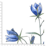 Papier peint fleurs "L'herbier"