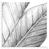 Papier peint Jungle JUNGALA