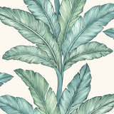 Papier peint feuillage – Feuille de bananier