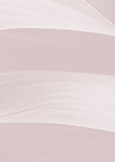 Echantillon papier peint végétal Monstera Deliciosa Rose